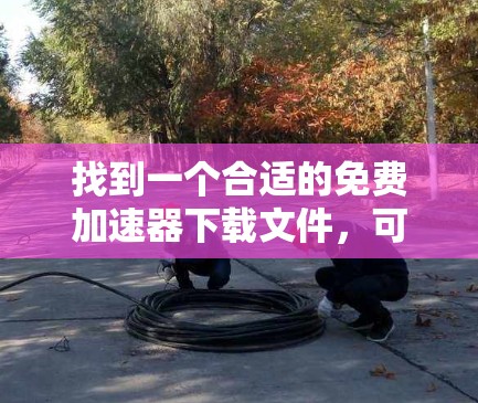找到一个合适的免费加速器下载文件,可以按照以下步骤进行
