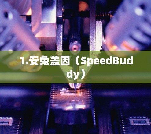1.安兔盖因(SpeedBuddy)