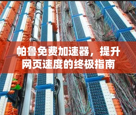 帕鲁免费加速器，提升网页速度的终极指南