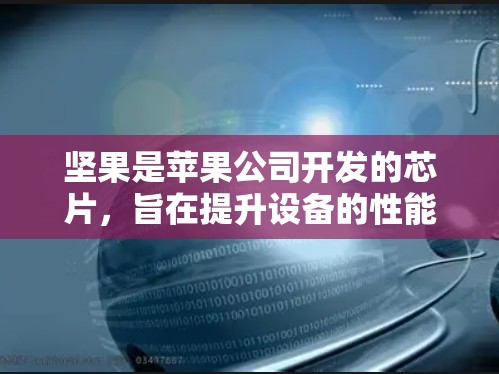 坚果是苹果公司开发的芯片,旨在提升设备的性能和续航能力。对于坚果的免费版本,苹果公司确实提供了一个免费的版本,但这个版本有一个限制,只能使用一段时间,之后需要购买后续的付费版