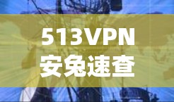 513VPN安兔速查,优化下载 Android 应用 513VPN安兔速查,优化下载 Android 应用