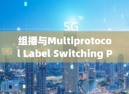 组播与Multiprotocol Label Switching Protocol(MPLS)VPN技术培训