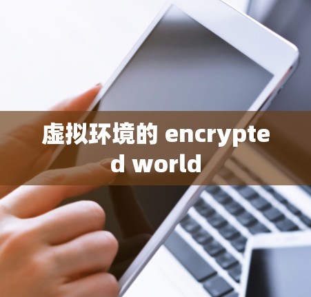 虚拟环境的 encrypted world