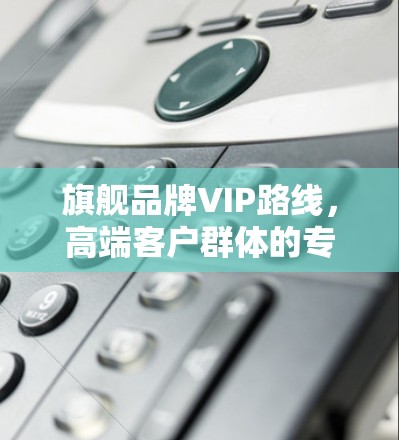 旗舰品牌VIP路线,高端客户群体的专属权益