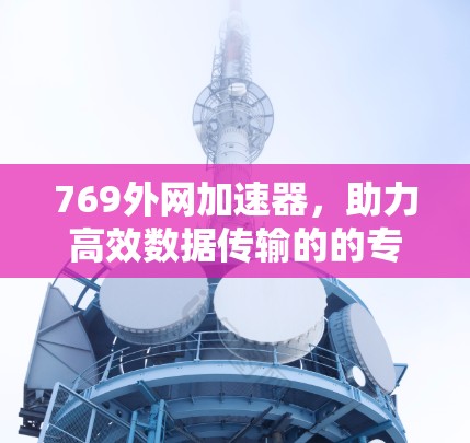 769外网加速器,助力高效数据传输的的专业解决方案 769外网加速器,助力高效数据传输的的专业解决方案