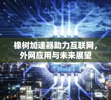 橡树加速器助力互联网,外网应用与未来展望 橡树加速器助力互联网,外网应用与未来展望