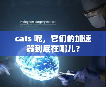 cats 呢,它们的加速器到底在哪儿? cats 呢,它们的加速器到底在哪儿?