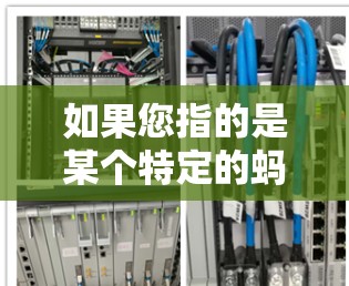 如果您指的是某个特定的蚂蚁网络加速器或蚂蚁网络工具,那么可能需要更多的上下文信息来提供准确的解释 如果您指的是某个特定的蚂蚁网络加速器或蚂蚁网络工具,那么可能需要更多的上下文信息来提供准确的解释