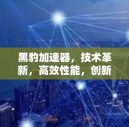 黑豹加速器，技术革新，高效性能，创新应用