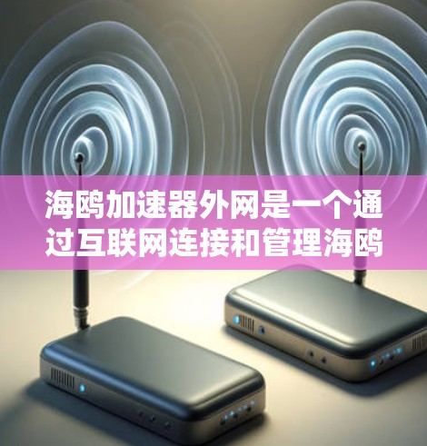 海鸥加速器外网是一个通过互联网连接和管理海鸥加速器的网络服务，旨在帮助用户提升车辆的加速性能和驾驶舒适度。以下是对该服务的详细分析和建议