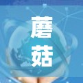 蘑菇外网加速器,技术革新,用户体验提升 蘑菇外网加速器,技术革新,用户体验提升