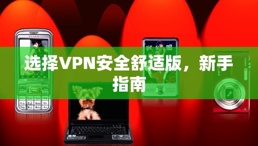 选择VPN安全舒适版，新手指南