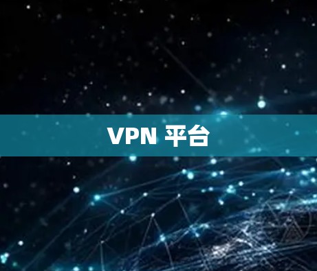 VPN 平台 VPN 平台
