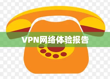 VPN网络体验报告