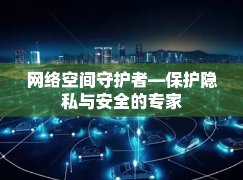 网络空间守护者—保护隐私与安全的专家