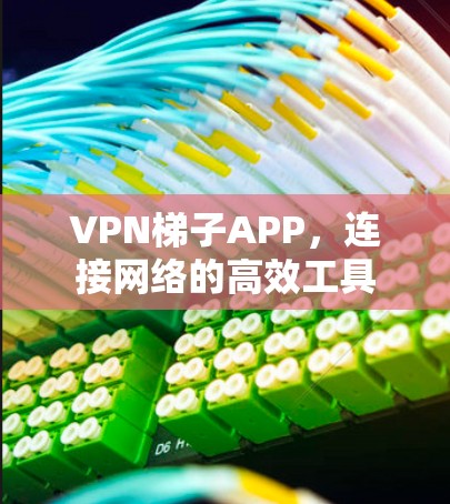 VPN梯子APP,连接网络的高效工具 VPN梯子APP,连接网络的高效工具