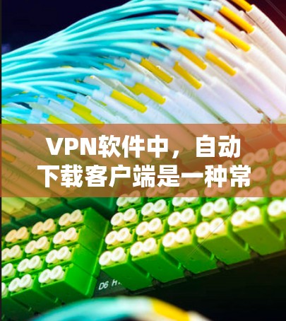 VPN软件中，自动下载客户端是一种常见的功能，主要是为了让用户在下载软件时，能够自动开始下载客户端，而不是等到下载完成后再下载。这通常可以在软件的下载界面中设置，用户只需要点击开始下载客户端即可