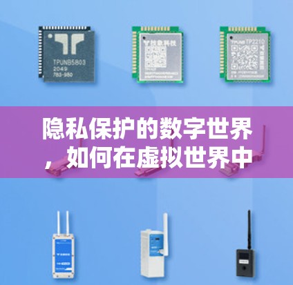 隐私保护的数字世界,如何在虚拟世界中守护你的隐私 隐私保护的数字世界,如何在虚拟世界中守护你的隐私