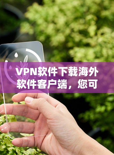 VPN软件下载海外软件客户端，您可以参考以下几种常见的方式