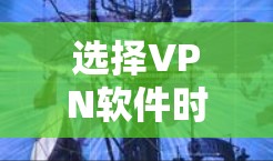 选择VPN软件时，应综合考虑多个因素以确保安全、高效和适合你的需求。以下是一个分步骤的指南，帮助你选择合适的VPN软件