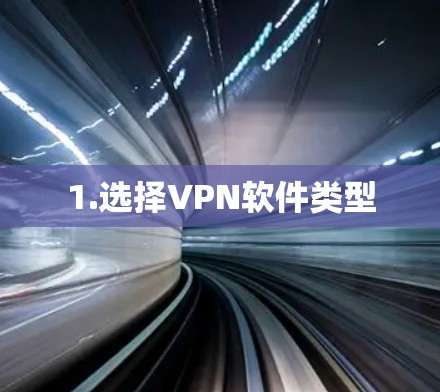 1.选择VPN软件类型