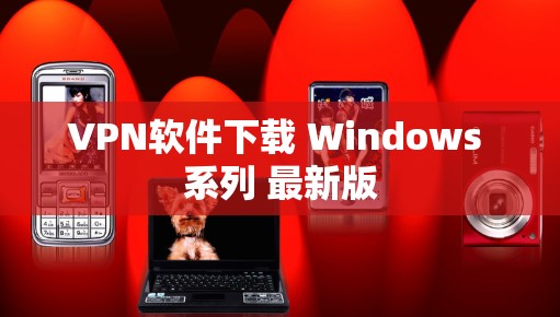 VPN软件下载 Windows 系列 最新版