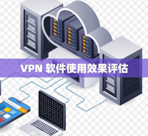VPN 软件使用效果评估 VPN 软件使用效果评估