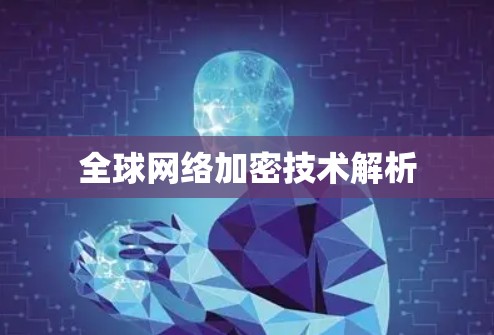 全球网络加密技术解析