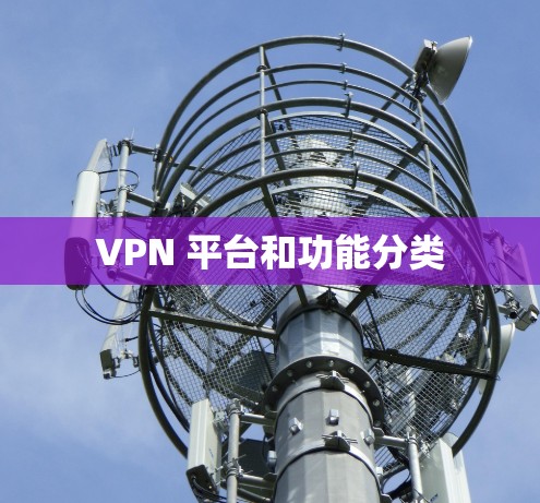 VPN 平台和功能分类