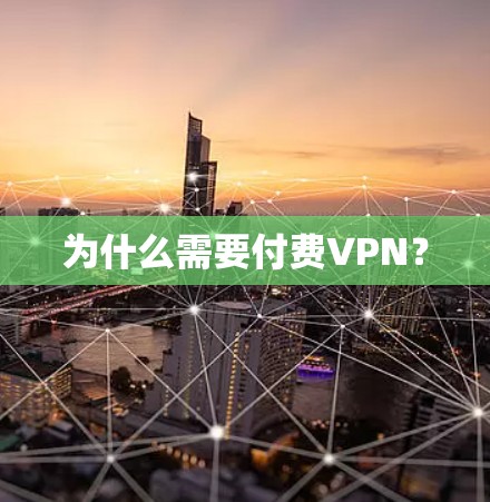 为什么需要付费VPN? 为什么需要付费VPN?