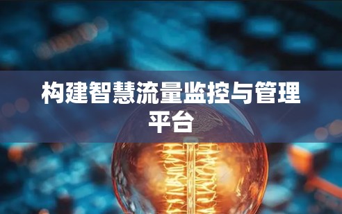 构建智慧流量监控与管理平台 构建智慧流量监控与管理平台