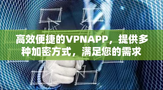 高效便捷的VPNAPP，提供多种加密方式，满足您的需求