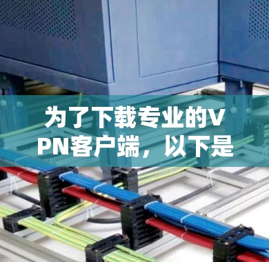 为了下载专业的VPN客户端，以下是一个有条理的步骤指南