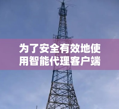 为了安全有效地使用智能代理客户端，以下是一个有序的步骤指南
