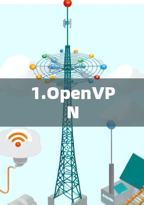 1.OpenVPN