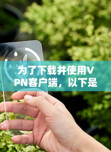 为了下载并使用VPN客户端，以下是详细的步骤指南