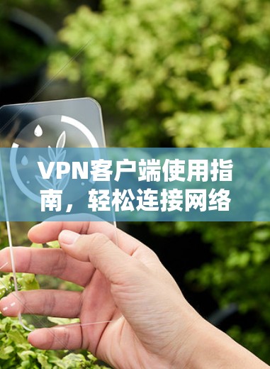 VPN客户端使用指南,轻松连接网络的实用教程 VPN客户端使用指南,轻松连接网络的实用教程