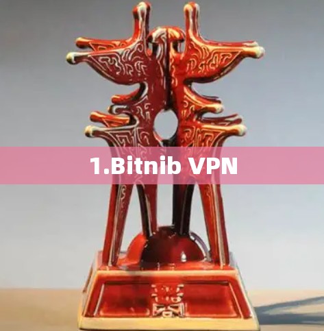 1.Bitnib VPN 1.Bitnib VPN