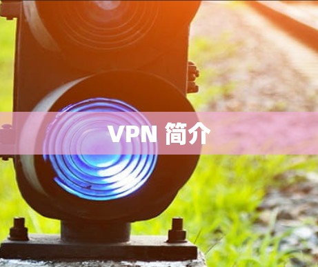 VPN 简介