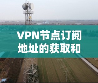 VPN节点订阅地址的获取和使用通常需要根据具体的VPN服务提供商和协议来确定。以下是一些常见的VPN订阅地址类型和相关要求，供参考
