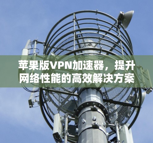 苹果版VPN加速器，提升网络性能的高效解决方案