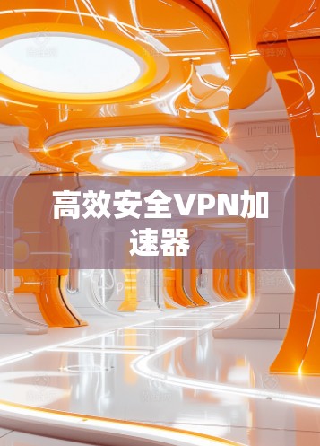 高效安全VPN加速器