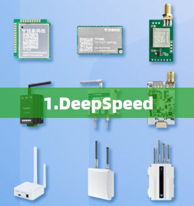 1.DeepSpeed