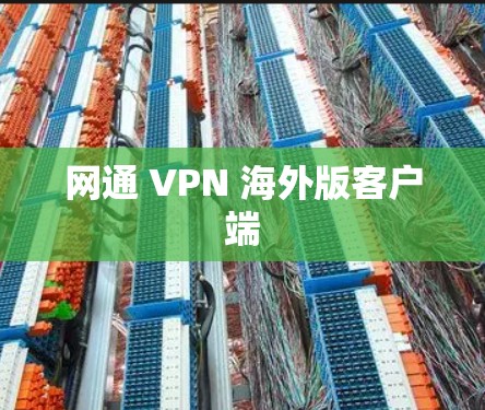 网通 VPN 海外版客户端