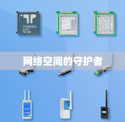 网络空间的守护者 网络空间的守护者