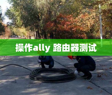 操作ally 路由器测试
