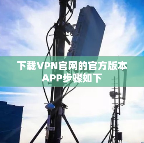 下载VPN官网的官方版本APP步骤如下 下载VPN官网的官方版本APP步骤如下