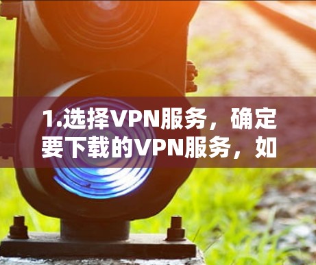 1.选择VPN服务，确定要下载的VPN服务，如ProtonVPN（ProtonBox）