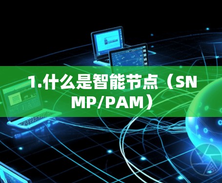 1.什么是智能节点（SNMP/PAM）