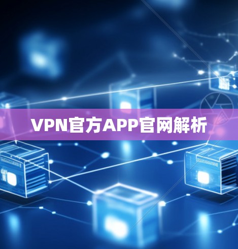 VPN官方APP官网解析